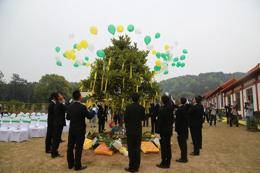 殡葬新规全国实施 天价墓地整治生态安葬补贴最高8000元